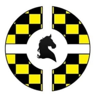 Checkmate IT Global logo